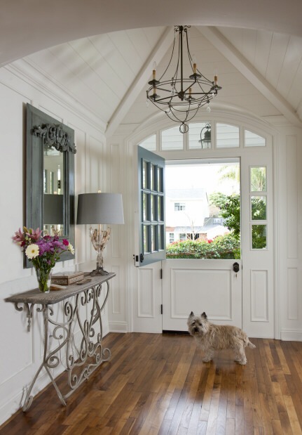 Dog Entry