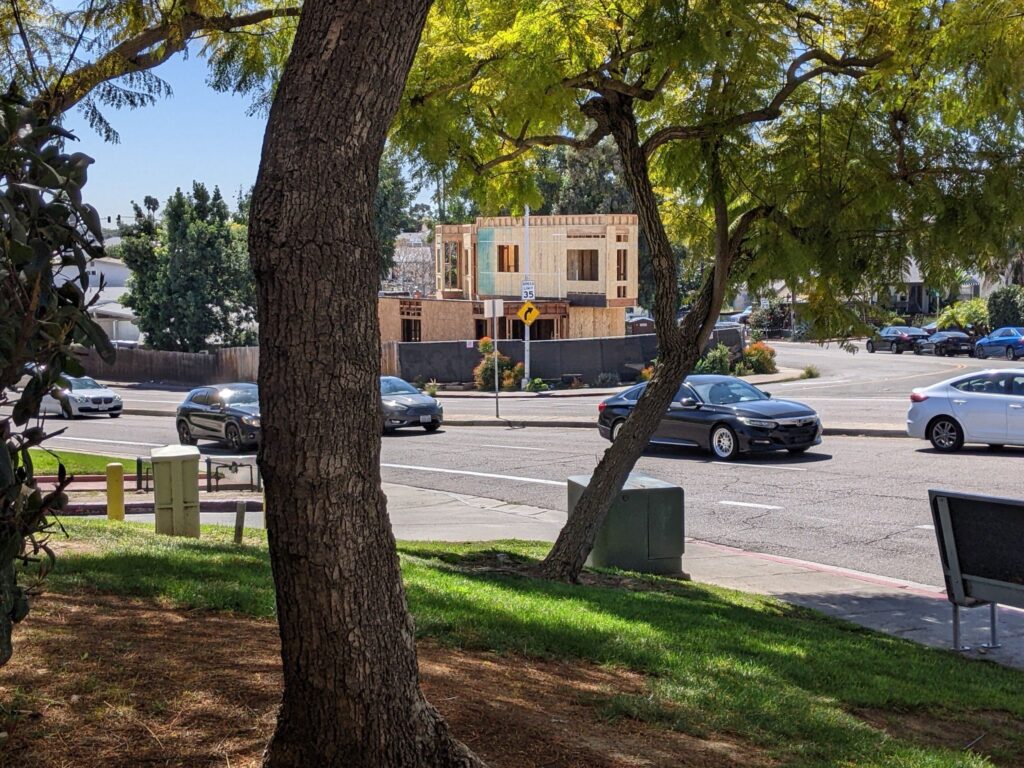 A tall tree with lush green leaves swaying gently in the breeze against a clear blue sky.